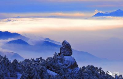 从人教版课文《黄山奇石》看:赏石文化从娃娃抓起