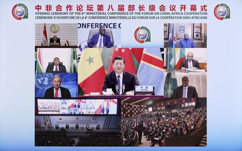 每日一词∣新时代中非命运共同体 a china africa community with a shared future in the new era